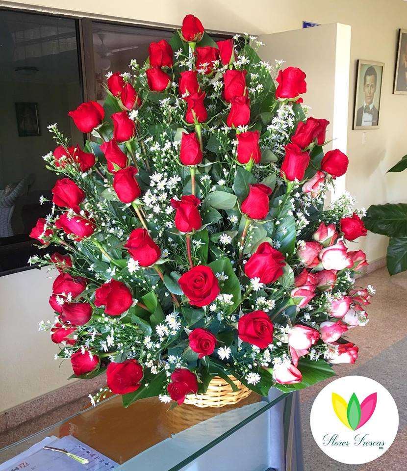 Rosas Frontal Deluxe
